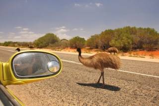 Alice Springs mietwagen günstig buchen